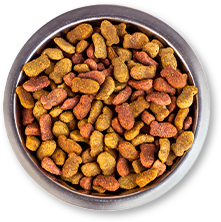 �⺻���� ������ ������ ���